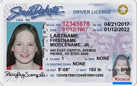 south dakota combination license|South Dakota Fishing Licenses, Laws, and Regulations – .
